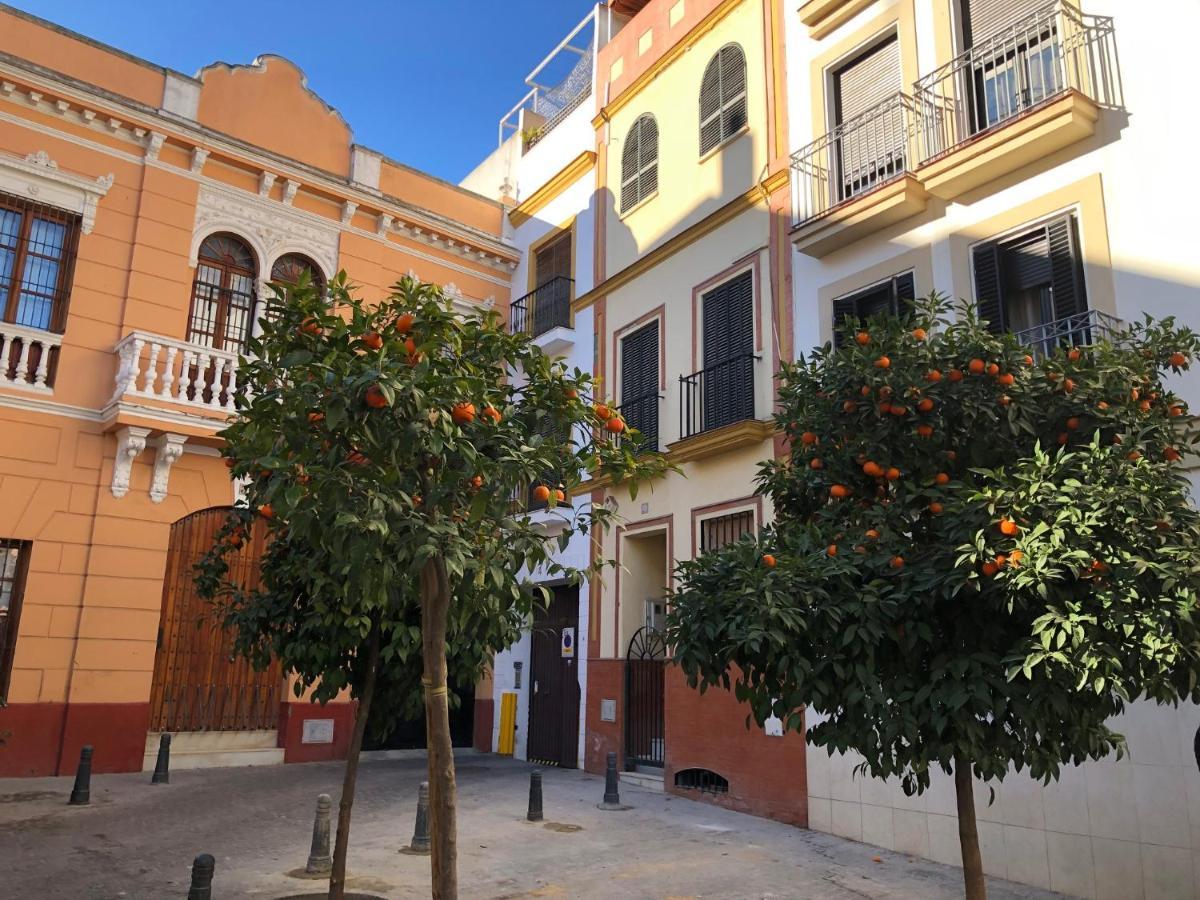 Unique House - Private Spa&Pool -StayinSevilla Exteriér fotografie